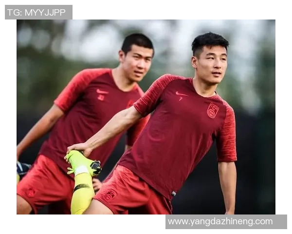 北京排球队技术争议引发热议球迷专家各抒己见探讨战术与表现