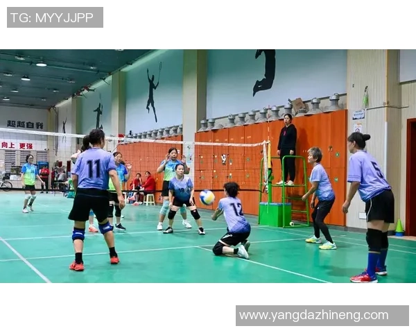 专访刘静:深入探讨她在排球领域的成功秘诀与奋斗历程 专访刘静:深入探讨她在排球领域的成功秘诀与奋斗历程