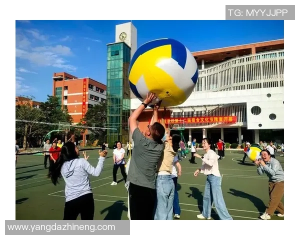 排球盛宴：深入南京排球队的力量与荣耀之旅