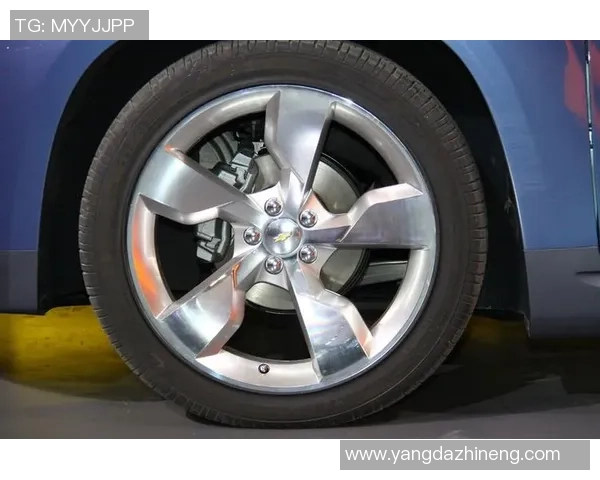 独家解析：V5耐力对比分析揭示性能优势与不足之处