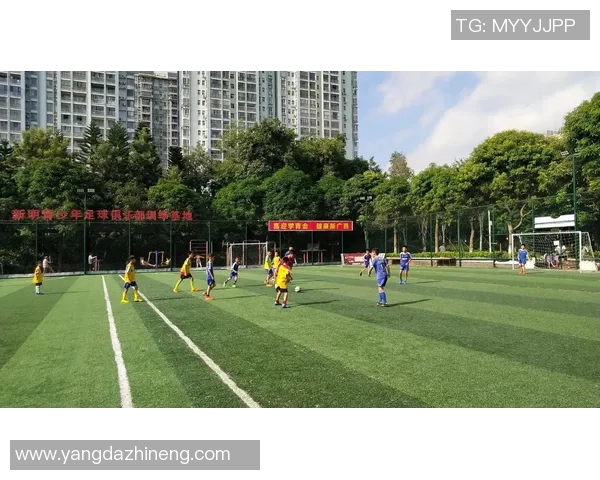 热血沸腾的足球歌曲推荐让你在赛场上尽情挥洒激情与梦想